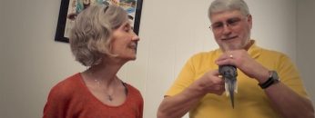 [ID: 3mBiv1WJmkk] Youtube Automatic