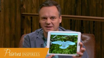 [ID: bm3kpUEuHLo] Youtube Automatic