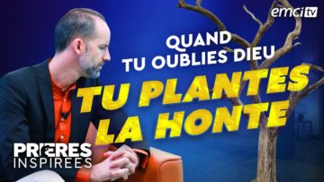 [ID: Rl2zZVkZnwQ] Youtube Automatic