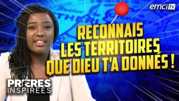 [ID: ltU9nvB_Zqk] Youtube Automatic