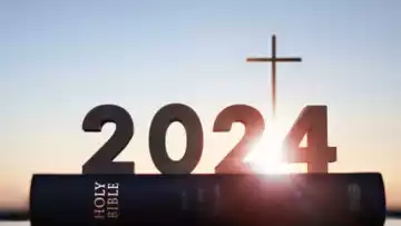 17319033